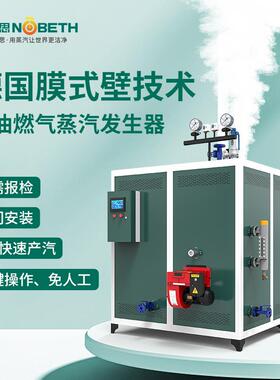 500公斤燃油气蒸汽发生器食品加工环保水泥混泥土养护机