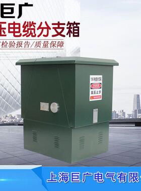 10KV电缆分支箱DFW-12/630A接线箱一进一出二出三出四出分接箱柜