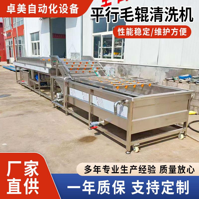 大型平行毛辊清洗机商用大姜红薯去泥洗菜机海蛎扇贝清洗去杂设备