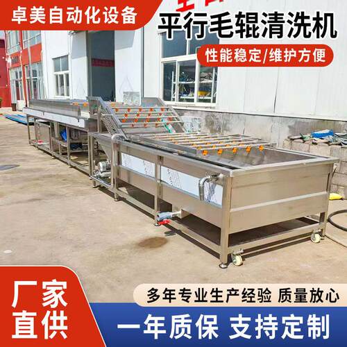 大型平行毛辊清洗机商用大姜红薯去泥洗菜机海蛎扇贝清洗去杂设备