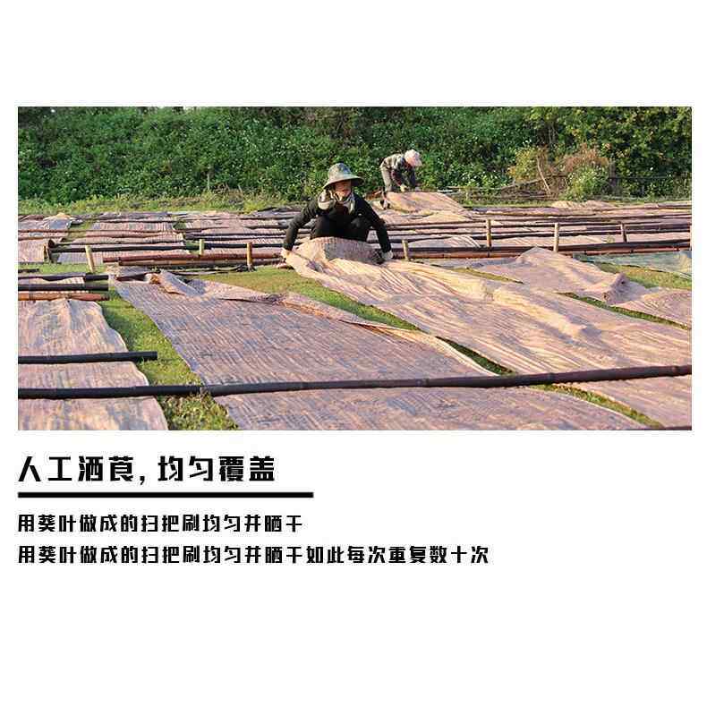 吉弟都春夏华季养生贴身纯蚕桑丝FMU大自然丝面料真丝香绸云纱莨