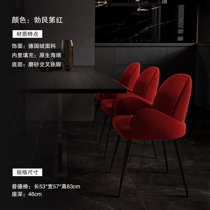 餐椅2024新款椅子吃饭餐桌椅轻奢高级靠背椅家用网红饭厅凳子靠背