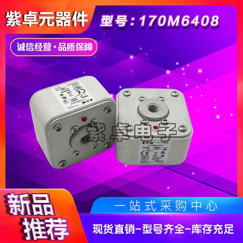 170M6301/6302/6303/6304/6305/6306/6307伊顿巴斯曼快速熔断器