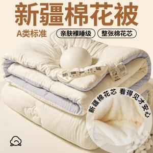 A类丫鹿大子维被豆泡泡纱被芯宿舍人学452生棉被褥冬被双人纤春秋