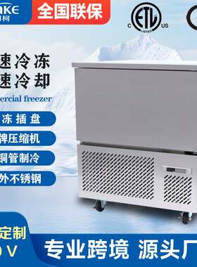 立式速冻柜商用低温速冻机冷柜海参饺子羊肉串急冻柜风冷插盘冰箱