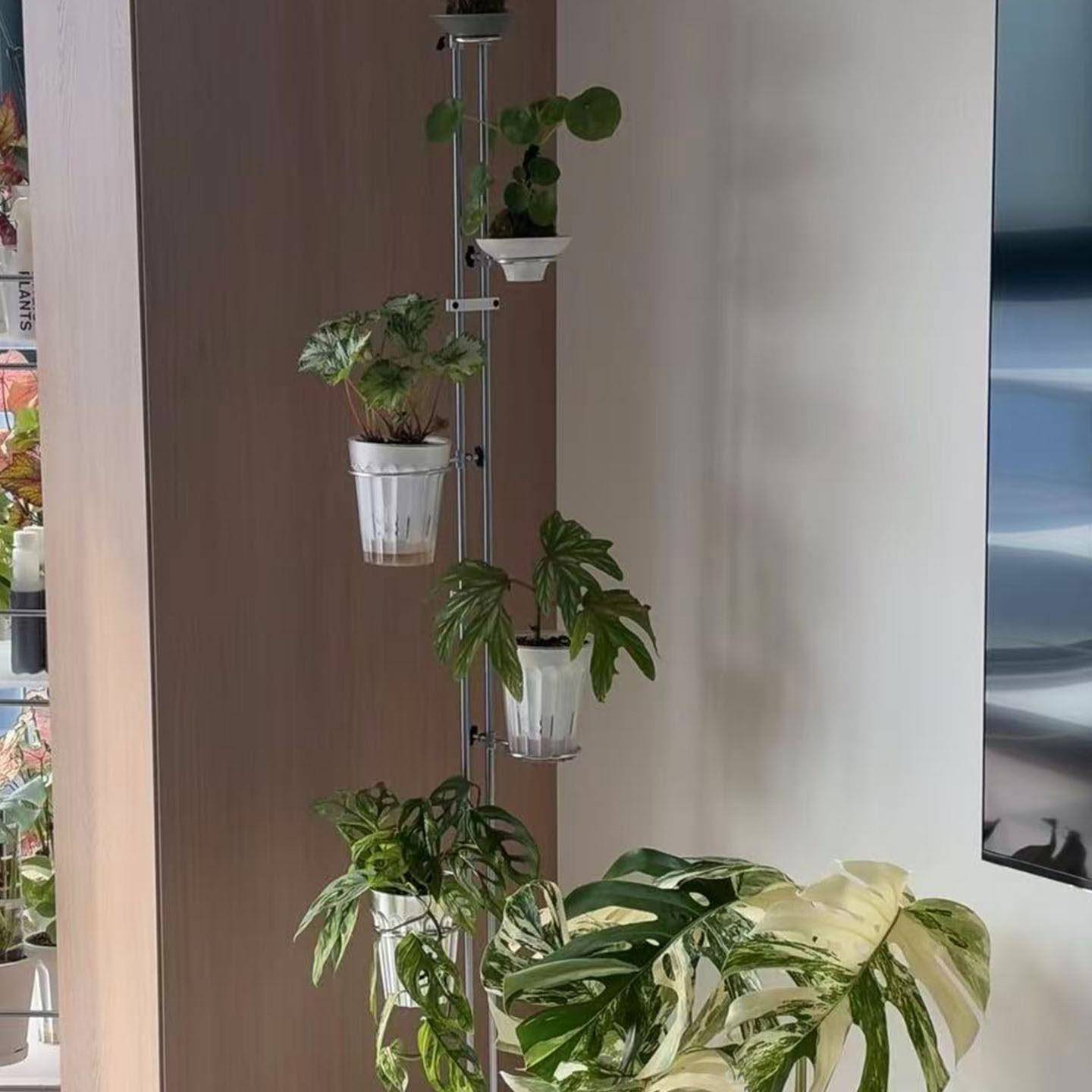 定制 实心不锈钢光轴diy花架客厅蝴蝶兰置物架阳台落地移动植物架