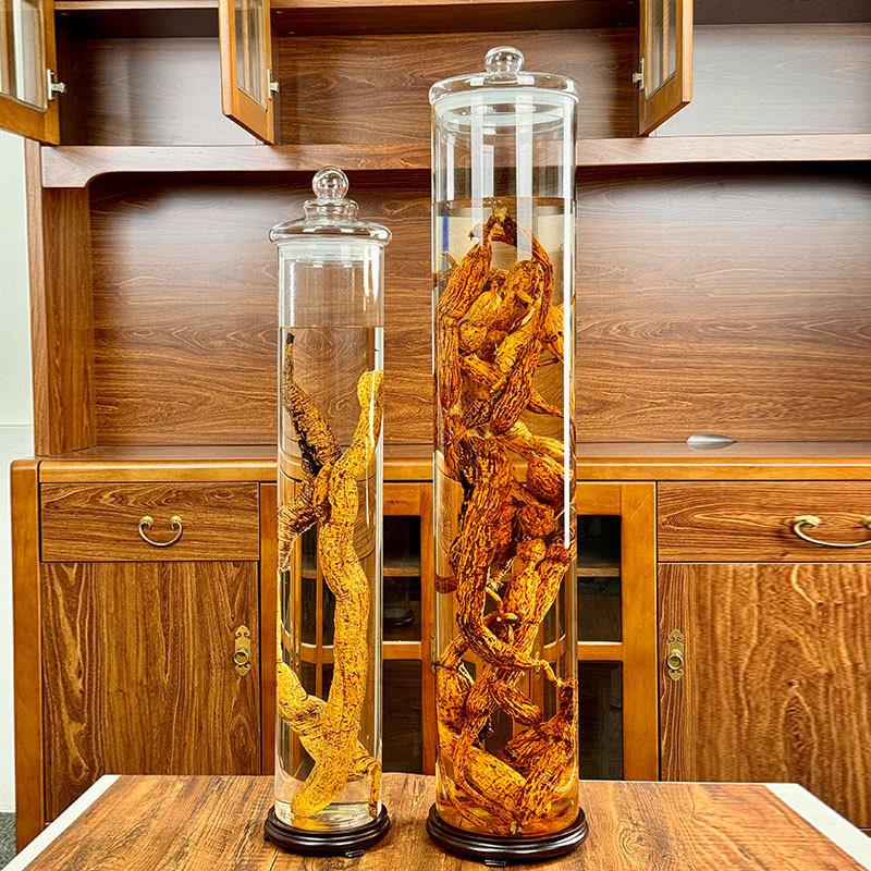 广口泡酒玻璃瓶大号鹿鞭人参专用泡酒瓶带龙头密封罐家用高档酒坛