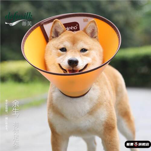 圈大型犬金毛头罩狗狗头套宠物防咬舔耻辱圈猫咪项圈围脖