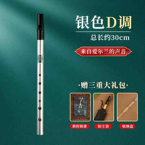 高档爱尔兰笛c调D调专业哨级竖笛高质音六孔金属子新款初笛学者小