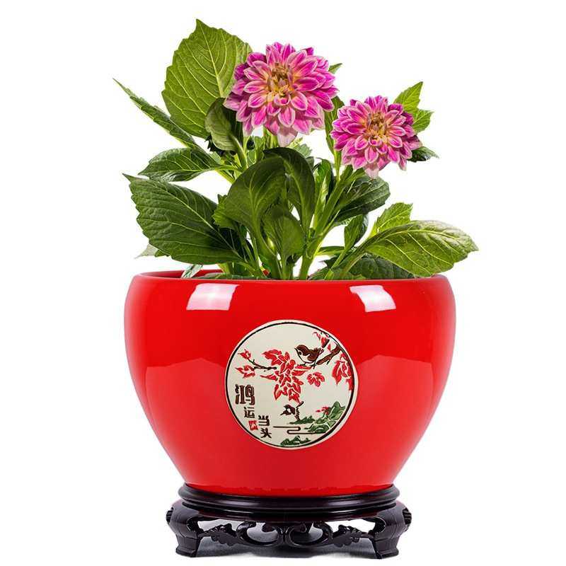 花盆陶瓷盆大号特大孔雀蓝兰花花盆花卉盆栽多肉托盘加厚现实包邮,鲜花速递/花卉仿真/绿植园艺,花盆,淘宝优惠券,粉丝福利购,淘宝优惠卷