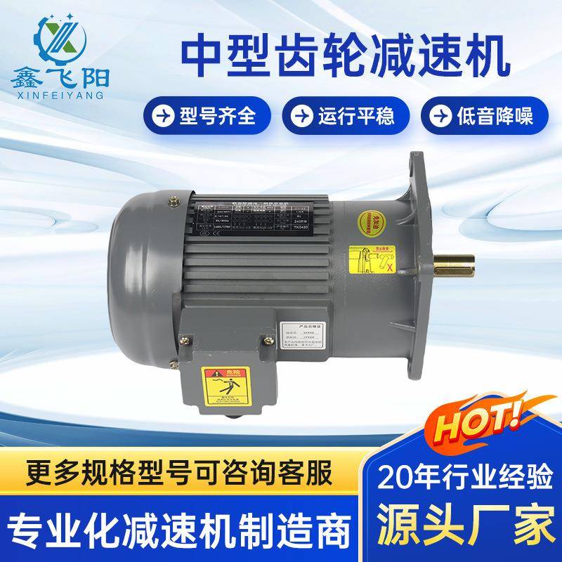 湖南鑫飞阳厂家直销中型齿轮减速机卧式硬齿面单相三相齿轮减速机