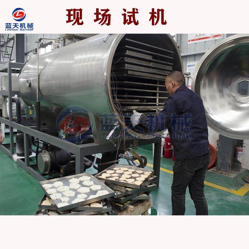 蓝瓜LT-NGDGJ瓜冻干机 商用南瓜片南瓜干南条天脱南水真空冻干干