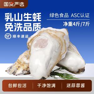 贝司令乳山生蚝鲜活净重4斤/7斤海鲜海蛎子新鲜大牡蛎肉免洗品质