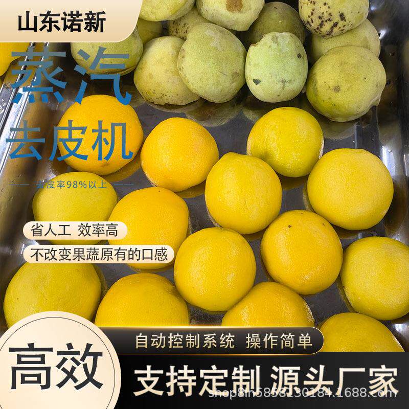 黄桃大型蒸汽去皮机果蔬红薯多功能剥皮设备带土豆加工工艺配方