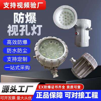 防爆灯LED视孔灯BSD反应釜视镜灯密闭容器探照灯照明内视灯射灯
