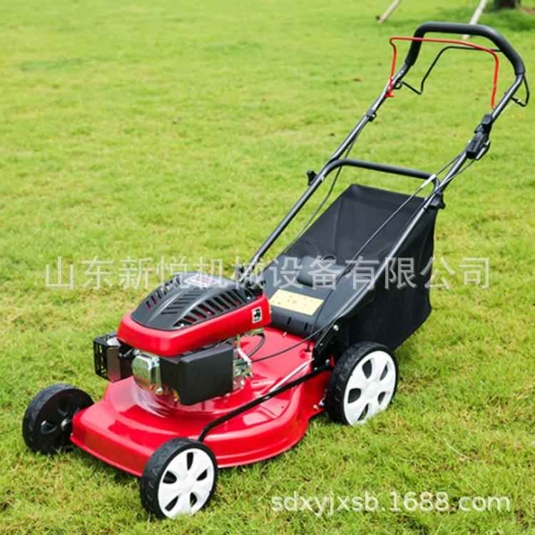 GXV160汽油草坪机 手推自走式剪草机 大功率打草机现货
