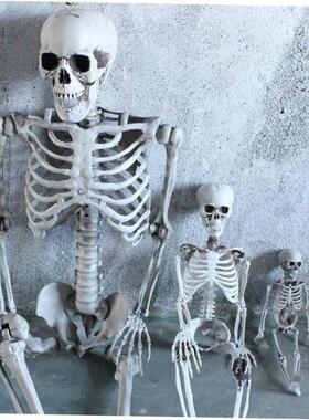 Halloween decorations Skull skeleton property horror万圣骷髅
