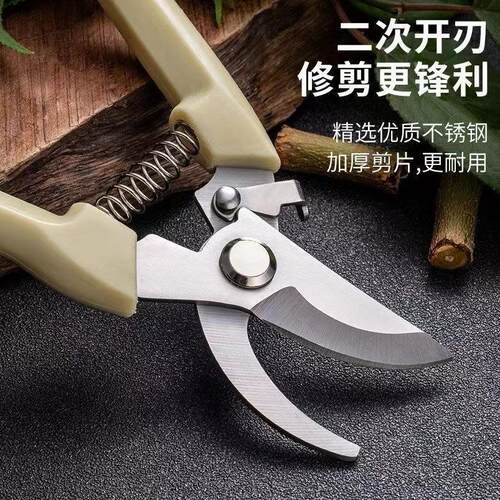 修枝全套园艺园林花园剪刀剪刀