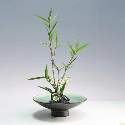 Japanese Ikebana Kenzan Flower Pot Base Holder Frog
