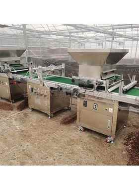 台机式农穴盘育苗机蔬秧苗DVE菜穴盘播种全自动穴盘育苗播用种机