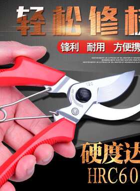 爱丽斯ARS120手剪经典款SK5钢大剪口粗枝剪果树枝修枝剪