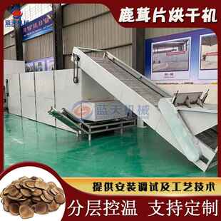 大型鹿茸烘干机网带式 血鹿茸鹿茸片烘干设备黄毛茸青毛茸干燥机