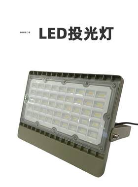 门口灯厂房灯50W100W150WLED户外招牌灯广场泛光灯投射灯户外防水