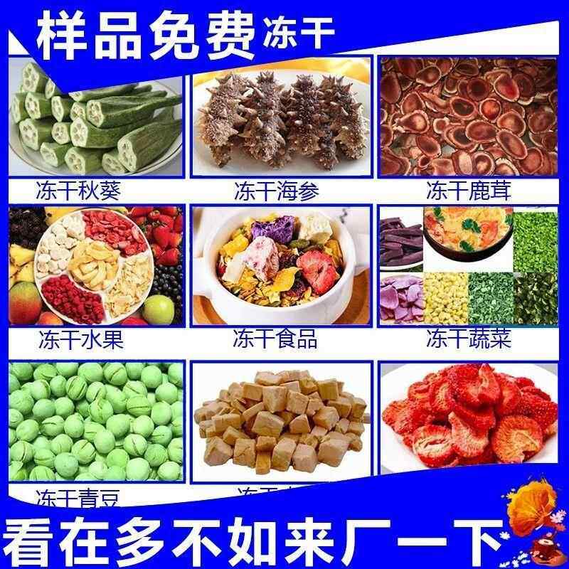 可视化商用小型冻干实验室宠YDO物食品果蔬水燥果家用机真空冷冻