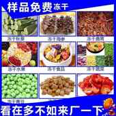 可LUD视化商用小型冻干干机实室宠物用食品果蔬水果家真空冷冻燥