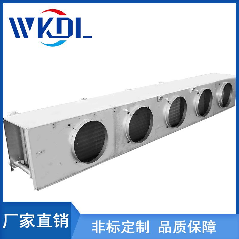风筒吊顶式冷风机水霜冲全恒不钢冷DD/DL/DJ风机温车锈间非标定制