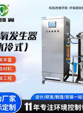 臭氧发生器（空气源水冷式）水管净化臭氧发生器原水杀菌脱色