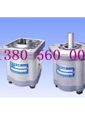 CBW-F314 316-ALP ALH CLPL CFP CFH合肥赛源液压齿轮泵SAI YUAN