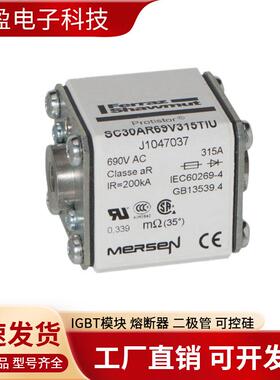 法国熔断器FR14GC69V40FR22GR69V80FR22212GR6R9V100F2GR69V125