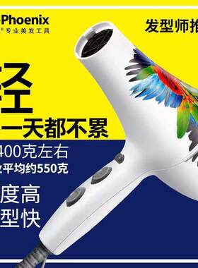 火之凤5600A鹦鹉电吹风机发型师专用专业超轻发廊理发店家用正品