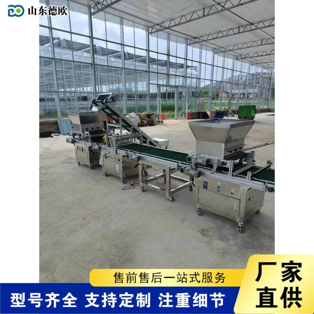 全自动番茄育苗点播机装土覆土淋水播种流水线穴盘漂盘压穴点种机