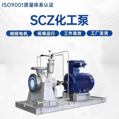 SCZ化工泵流程泵高温高压热水泵中心支撑ZE泵耐腐蚀化工泵