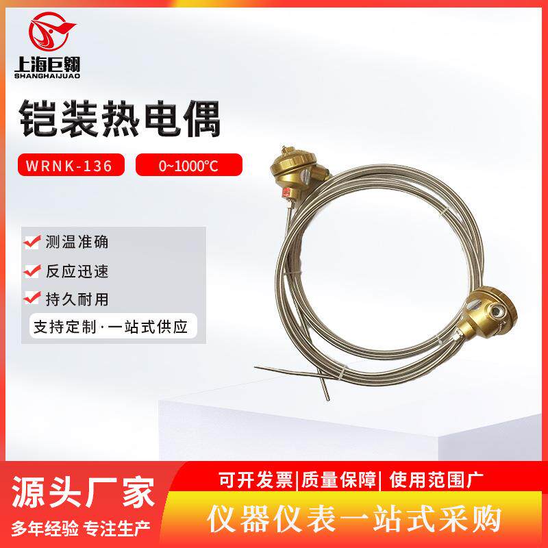 K型铠装热电偶WRNK-136热电偶传感器pt100温度变送器插头测温仪