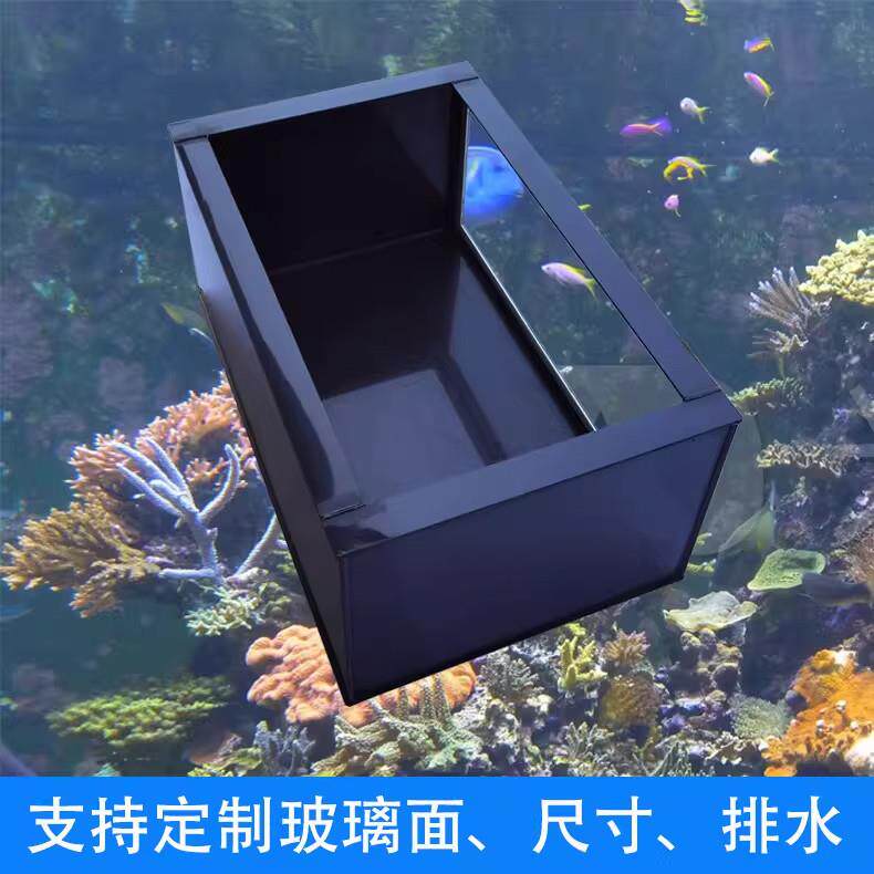龟池养殖箱乌龟饲养缸锦鲤鱼箱玻璃储水塑料箱家用阳台养龟池龟缸