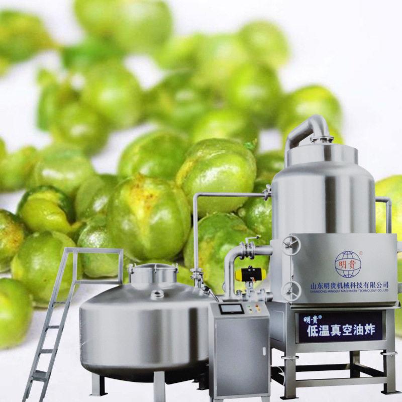 香酥青豆真空油炸机蚕豆粒真空低温油炸锅VF苹果片加工设备