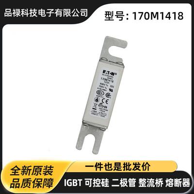 170M8627 170M8629 170M8630 170M8631原厂陶瓷熔断器 保险丝