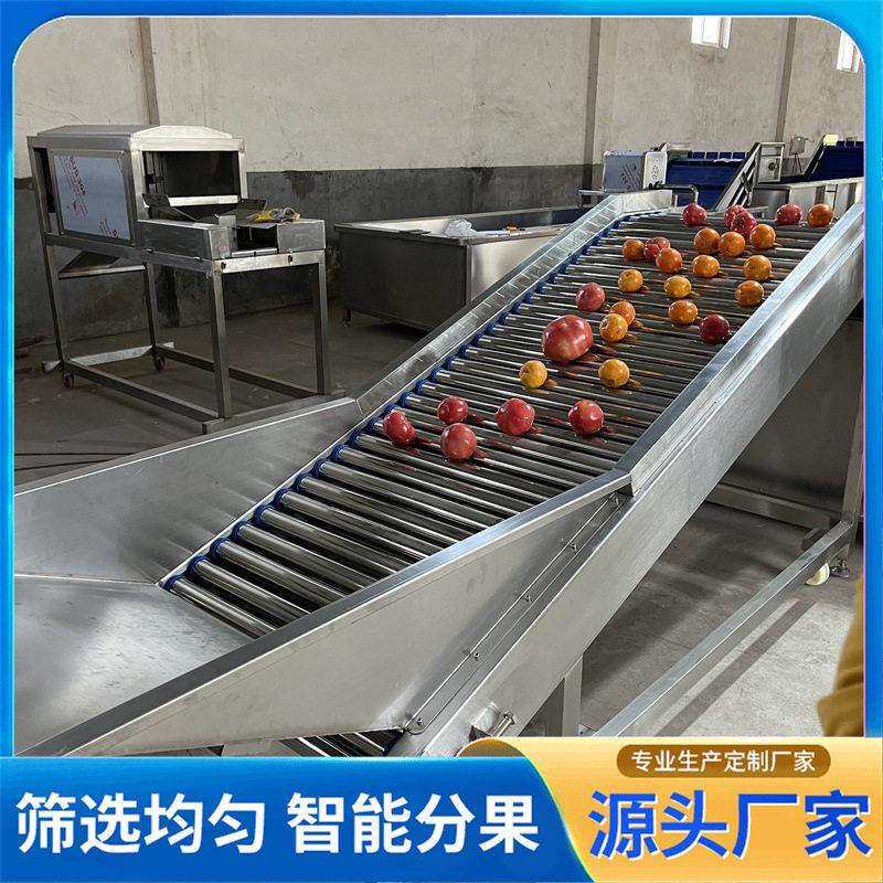 滚杠选果机土豆红苕李子荔枝分选机圣女果柠檬百香果选果机