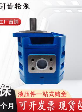 液压齿轮泵CBG2063 2080 2100 2040 2050 JHP2063油泵CBGj2080
