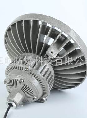 LED防爆灯BAD81A-3型80W-120W防爆投光灯圆形照明灯防爆探照灯