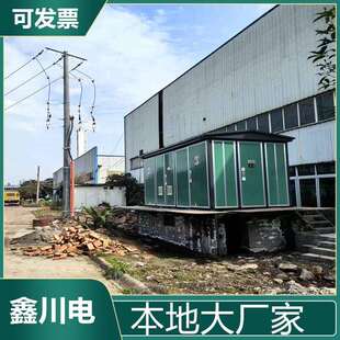 箱式 200KVA10KV电压运行稳定欧式 美式 箱变 变电站YBW