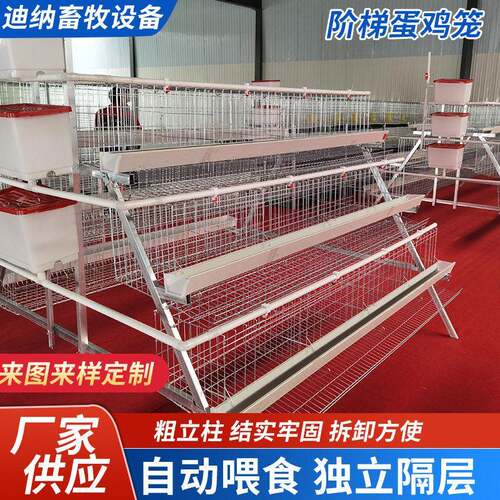 双边鸡笼三层靠墙鸡笼家用专业养鸡笼家庭养蛋鸡笼边镀锌鸡笼