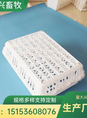 鸡鸡笼鸭笼NCY鸭输鸽兔运笼抗压抗摔耐用成鸡运输鹅笼