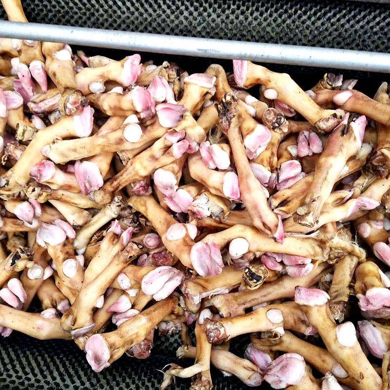 羊蹄清洗去毛机毛刷辊羊蹄筋清洗机商用羊脸羊头去黑炭清洗设备