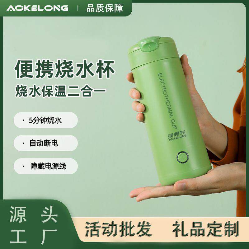 便携式迷你电热烧水杯小型旅行烧水壶养生杯保温一体全自动炖煮杯