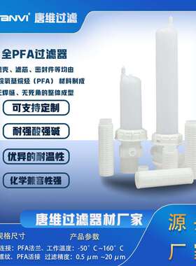 唐维全PFA过滤器 耐腐蚀抗渗透性化学性能稳定纯净度高无污染粘结