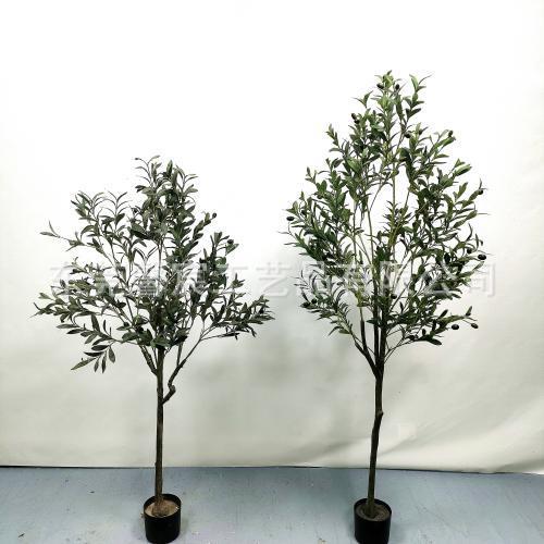 工厂直仿真常橄榄树绿植室物盆栽内人HIO造规老纵加密橄销榄树居